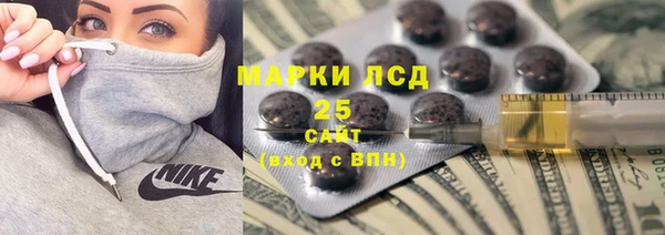индика Алзамай