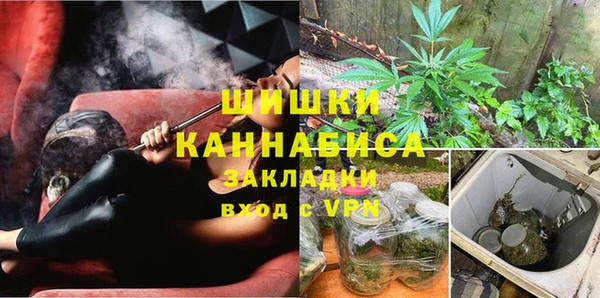 индика Алзамай