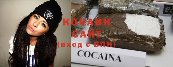 индика Алзамай