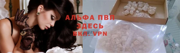 индика Алзамай