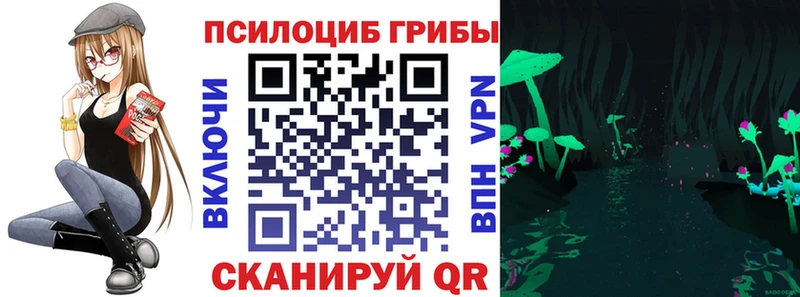 blacksprut tor  Задонск  Псилоцибиновые грибы Cubensis 